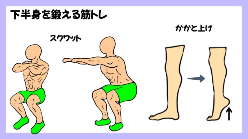 下半身を鍛える筋トレのイラスト