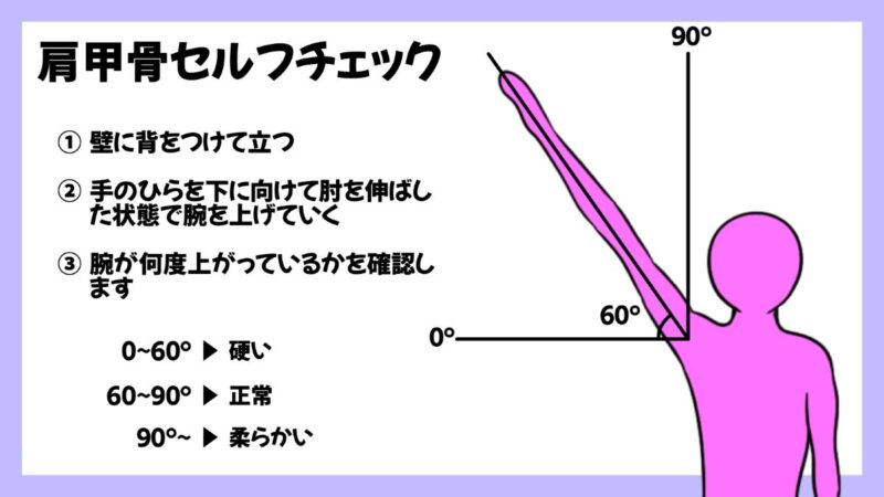 クライミングにおける肩甲骨の重要性のイラスト