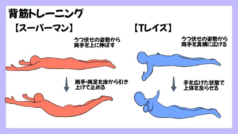 クライミングにおける背筋の重要性